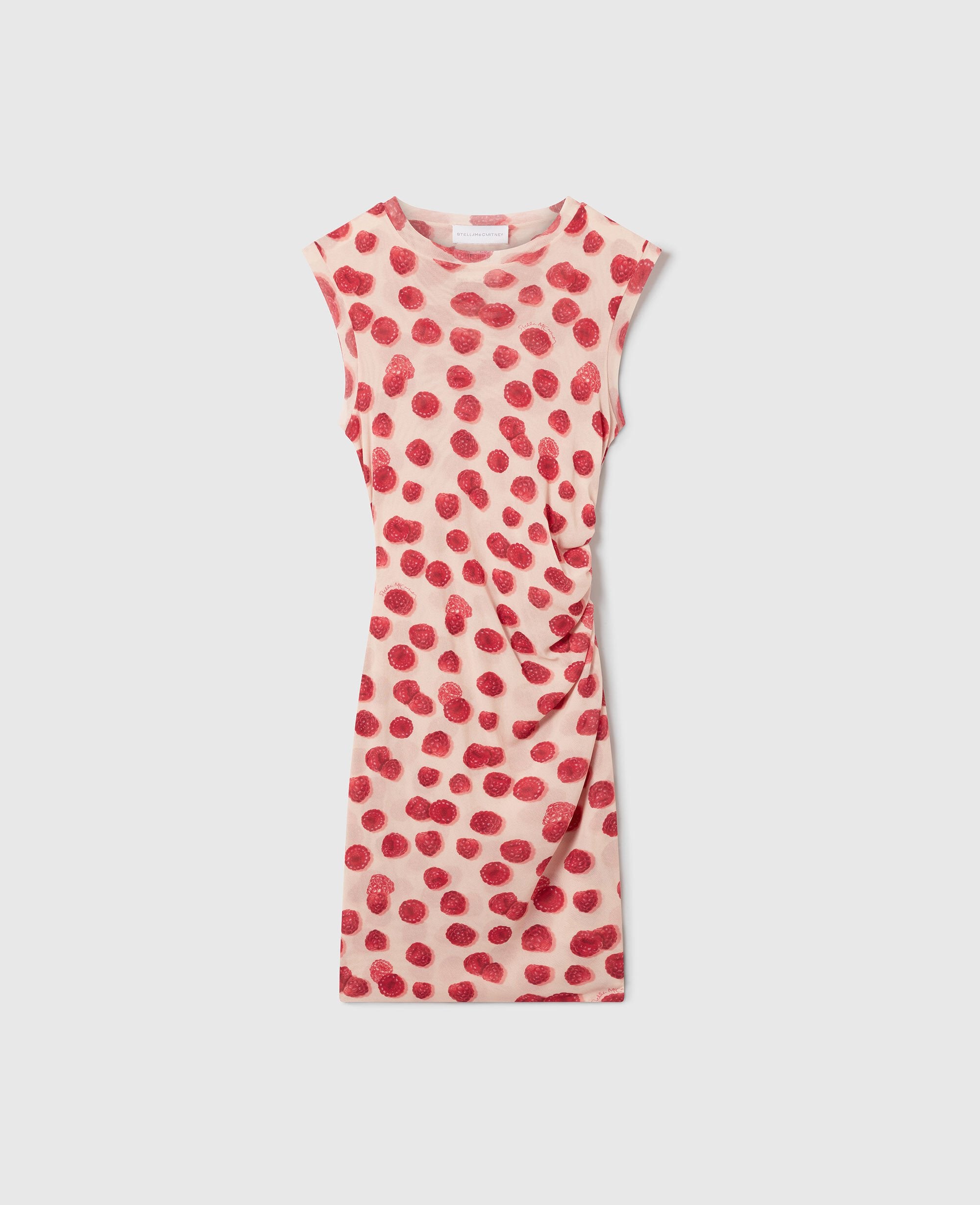 Raspberry Print Mesh Mini Dress