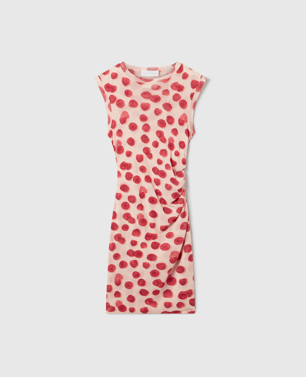 Raspberry Print Mesh Mini Dress