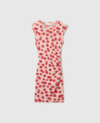 Raspberry Print Mesh Mini Dress