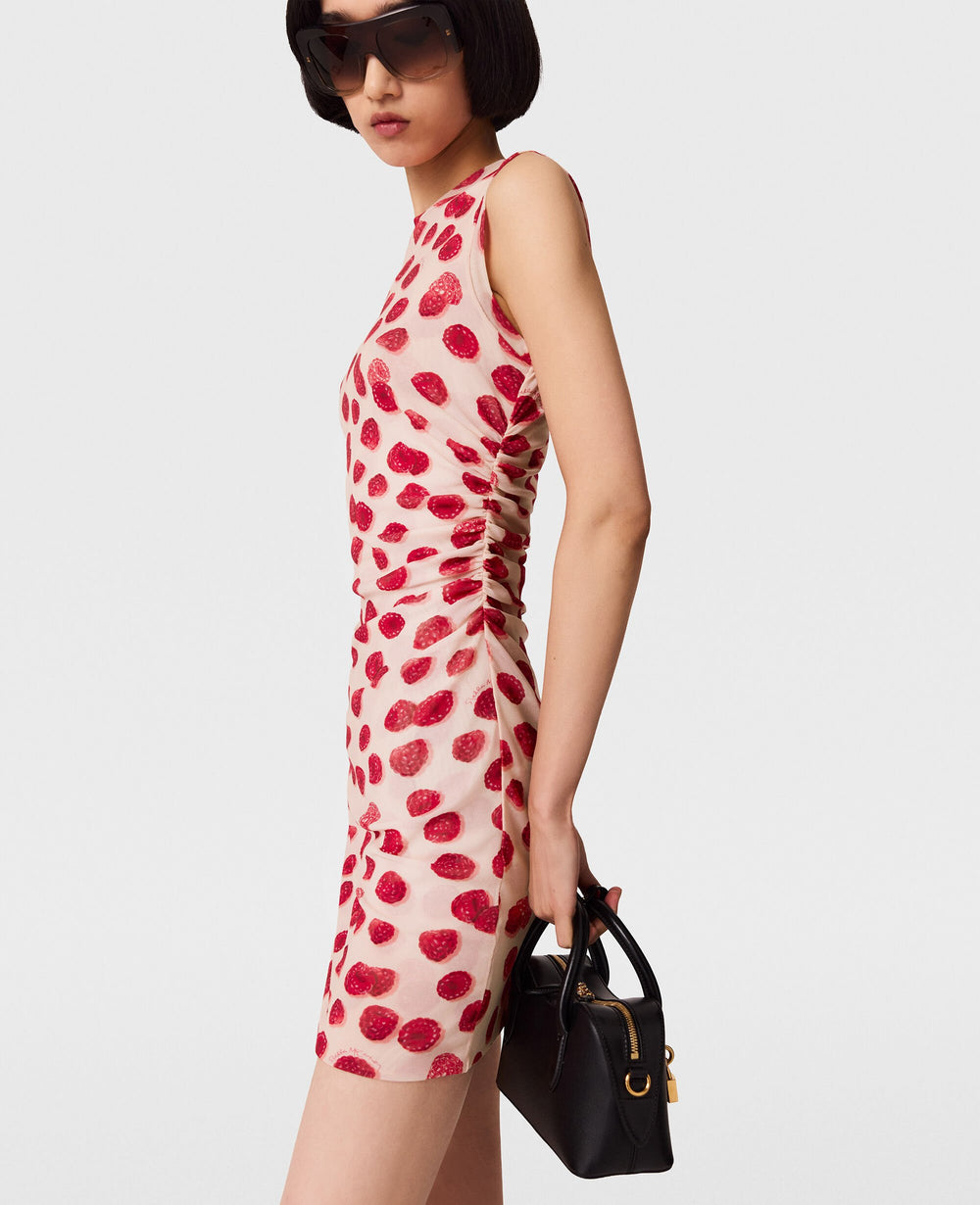 Raspberry Print Mesh Mini Dress