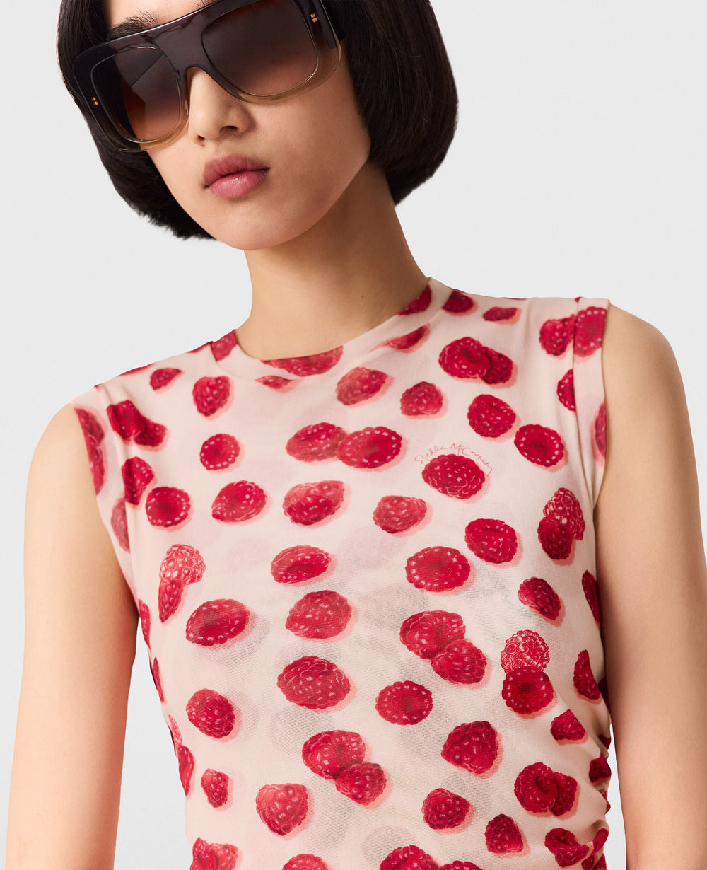 Raspberry Print Mesh Mini Dress