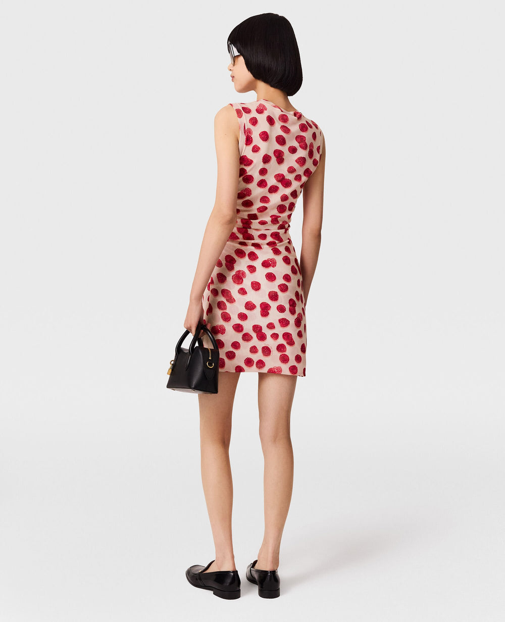 Raspberry Print Mesh Mini Dress