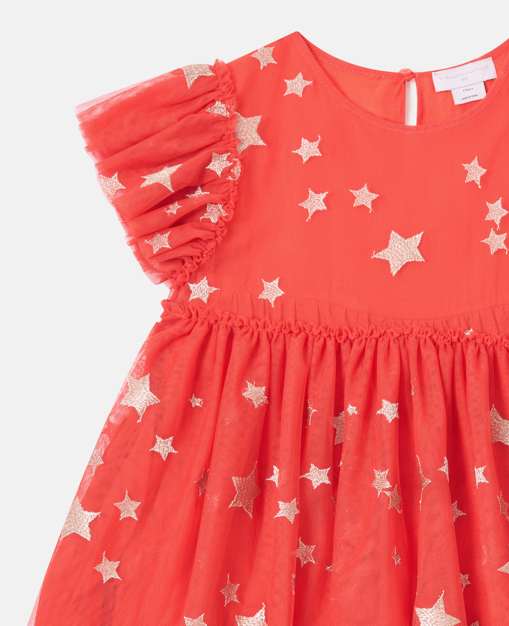Star-Embroidered Tulle Dress