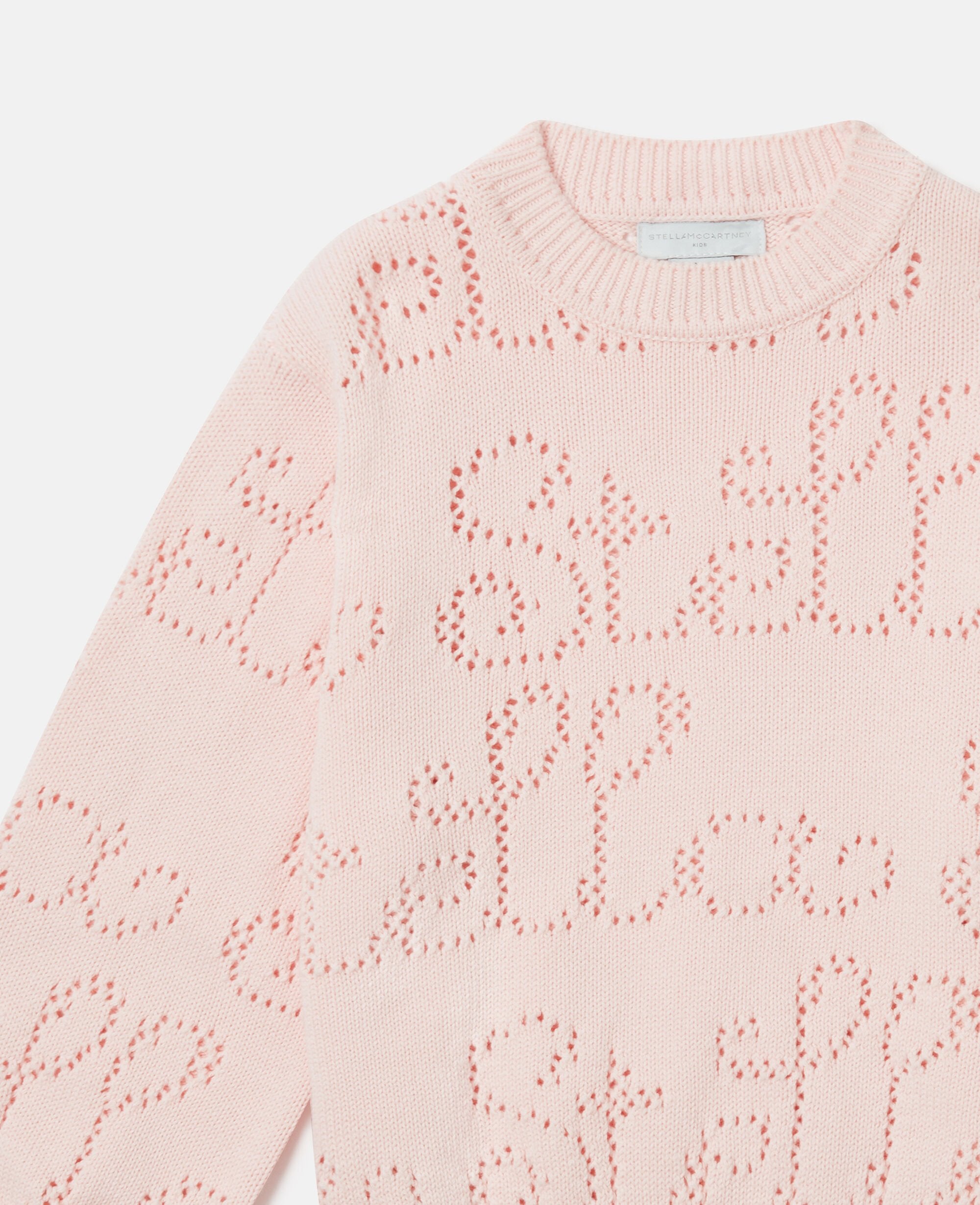 Stella Crocheted Sweatshirt