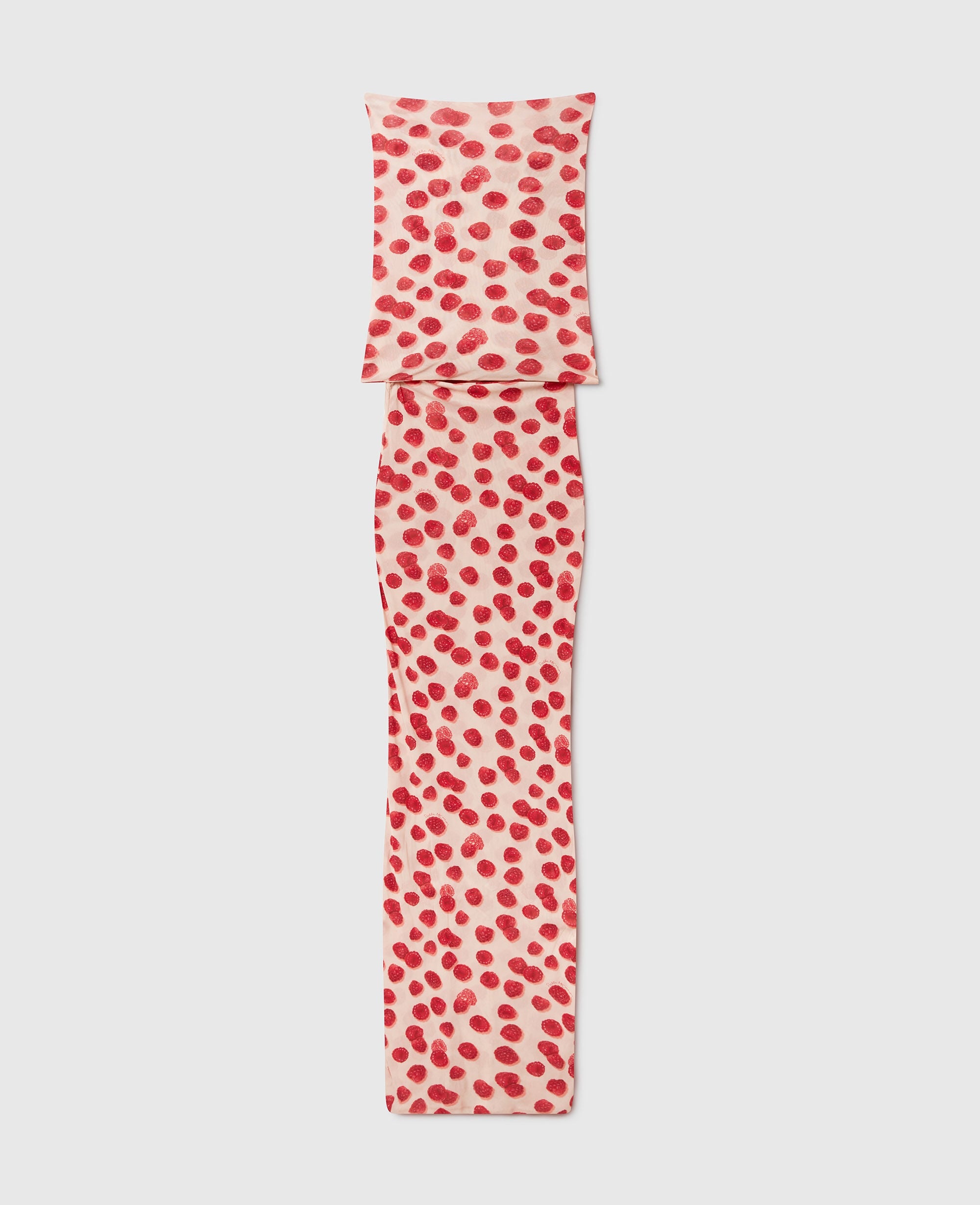 Raspberry Print Mesh Maxi Dress