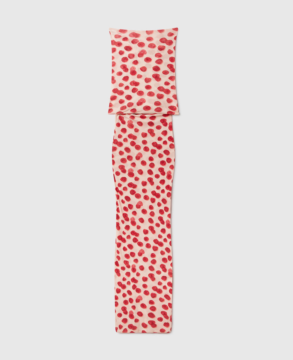 Raspberry Print Mesh Maxi Dress