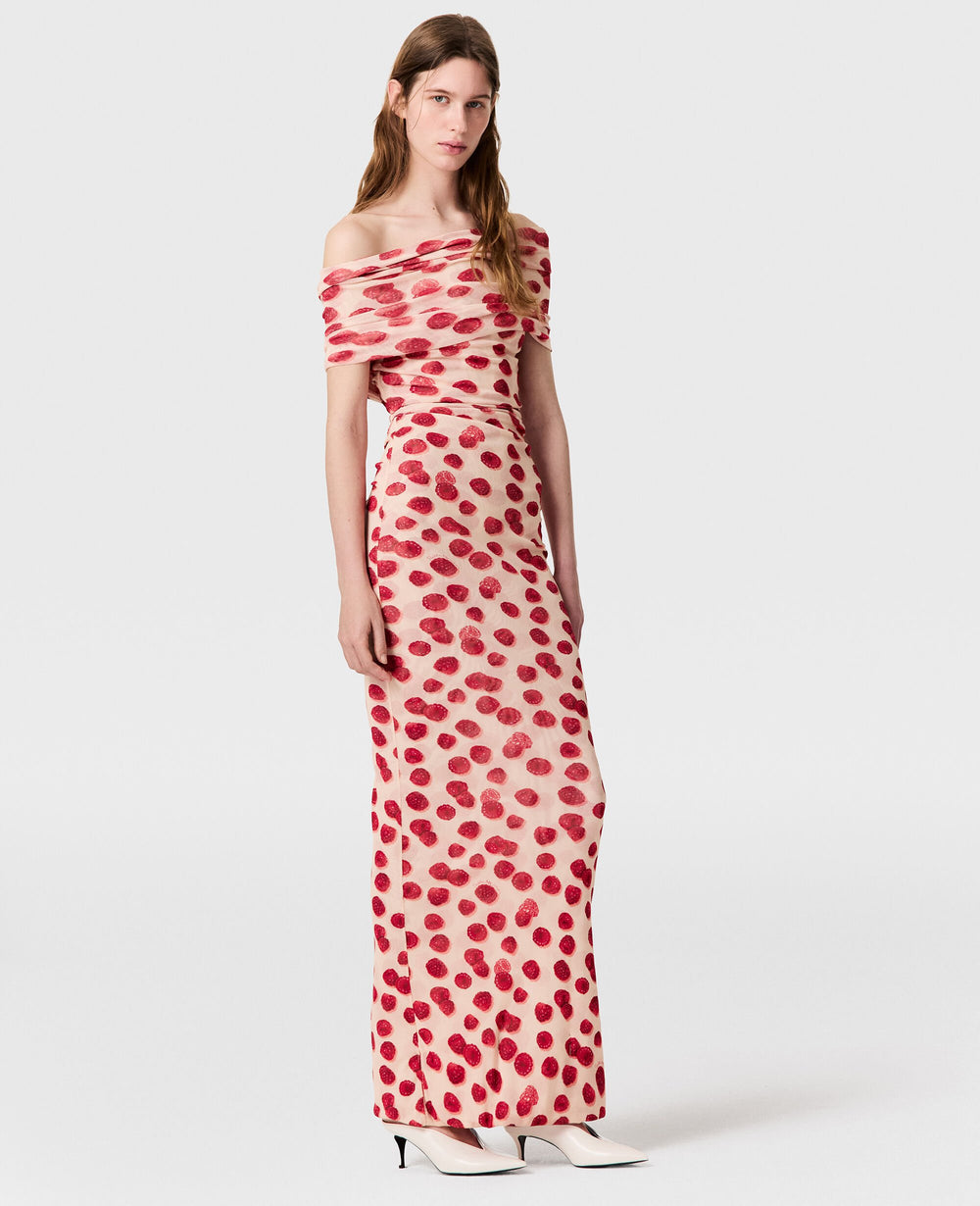 Raspberry Print Mesh Maxi Dress