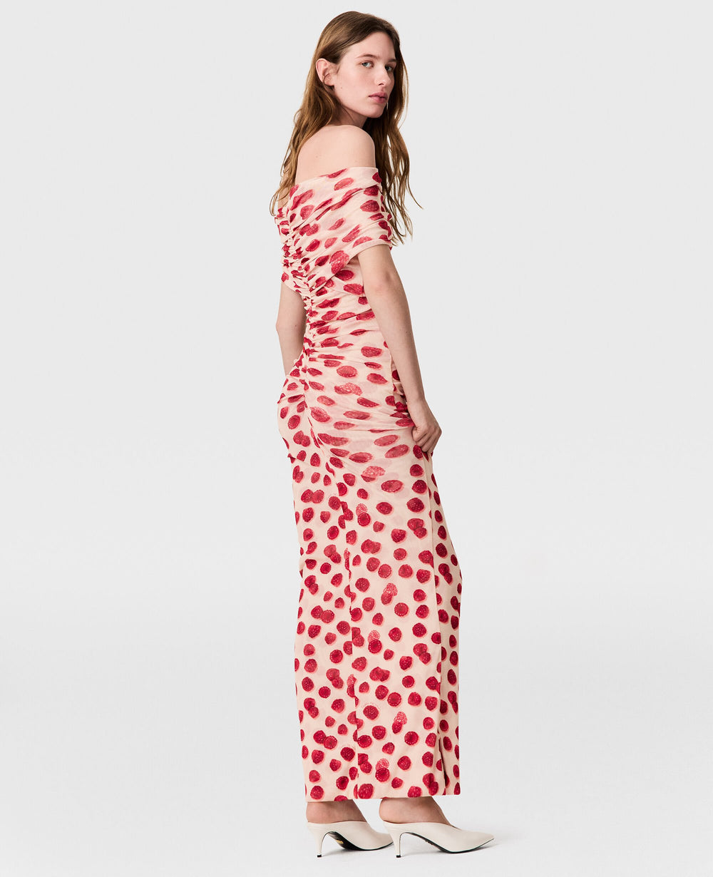 Raspberry Print Mesh Maxi Dress