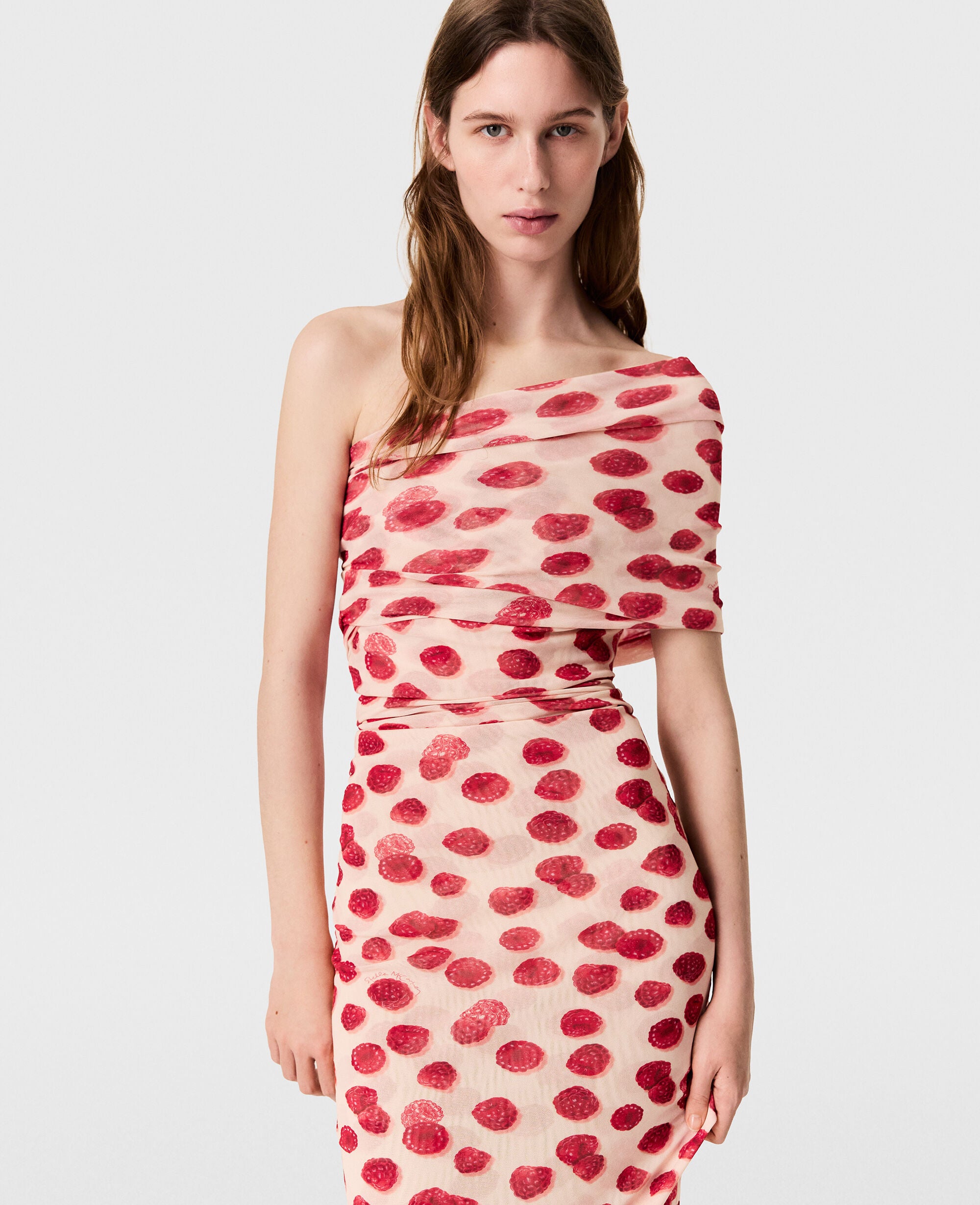 Raspberry Print Mesh Maxi Dress