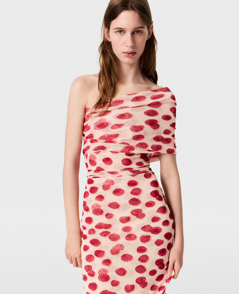 Raspberry Print Mesh Maxi Dress