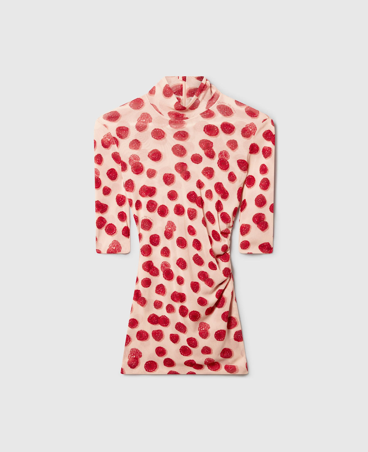 Raspberry Print High-Neck Mesh Top