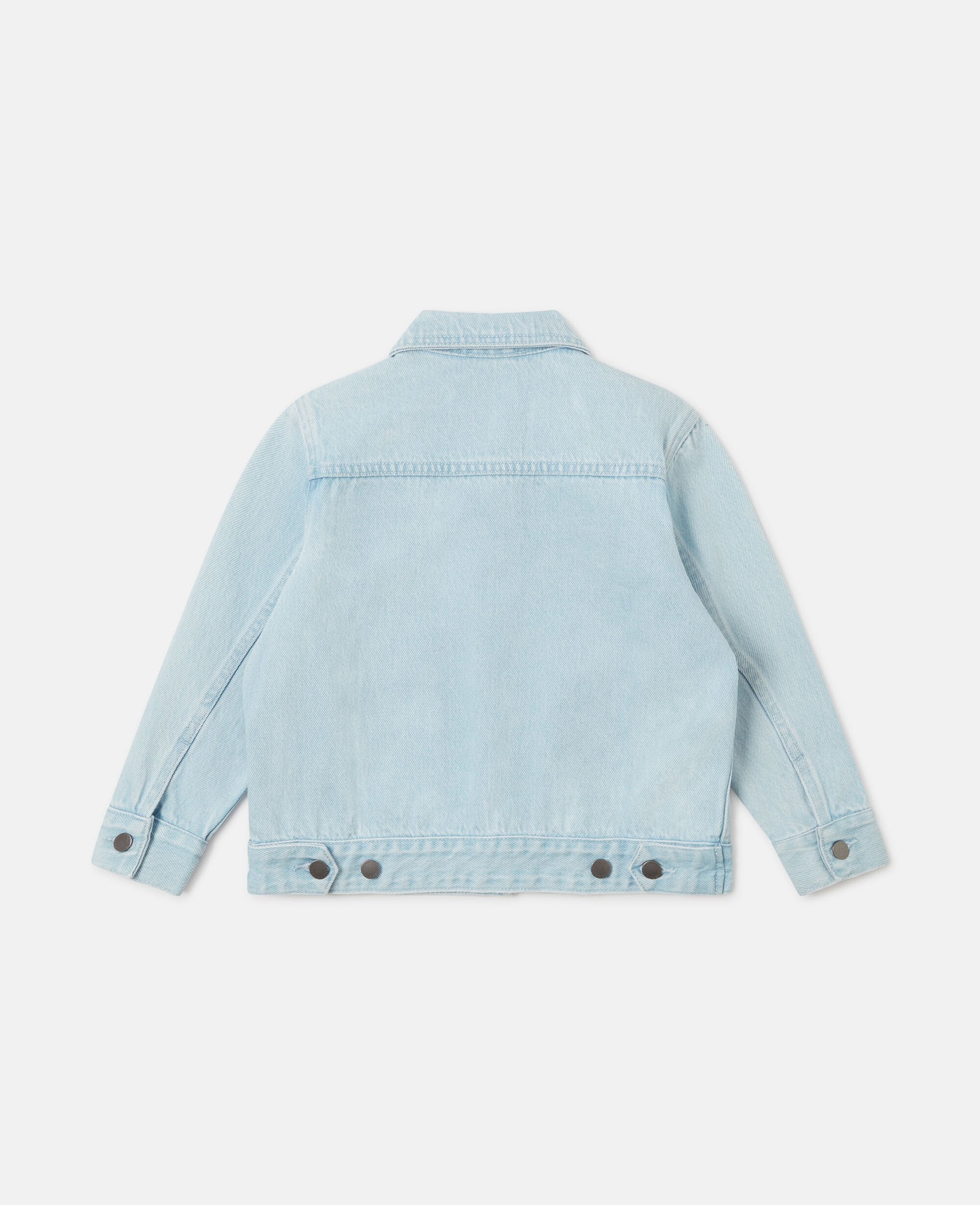 Floral Embroidered Denim Jacket
