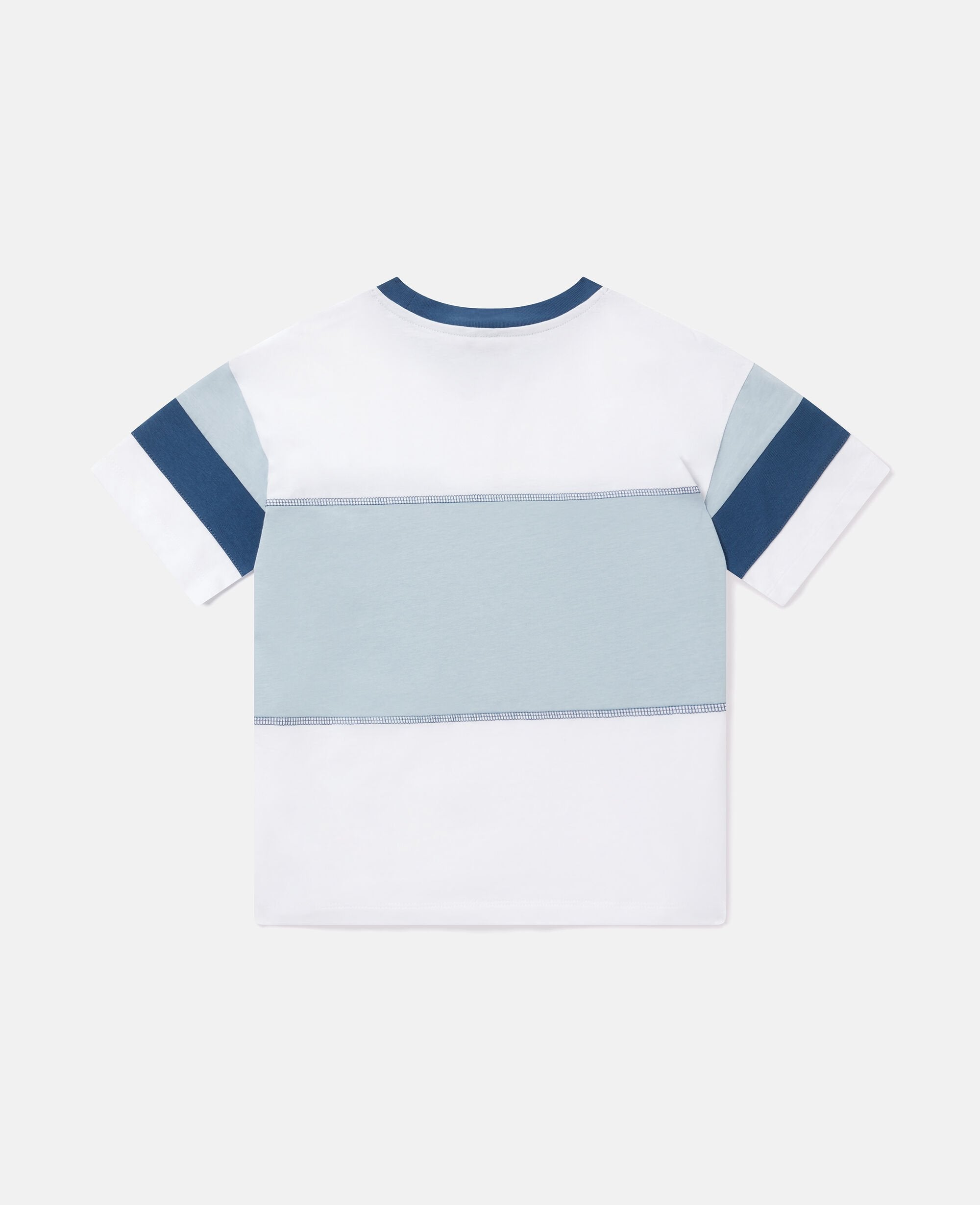 Color Blocked T-Shirt