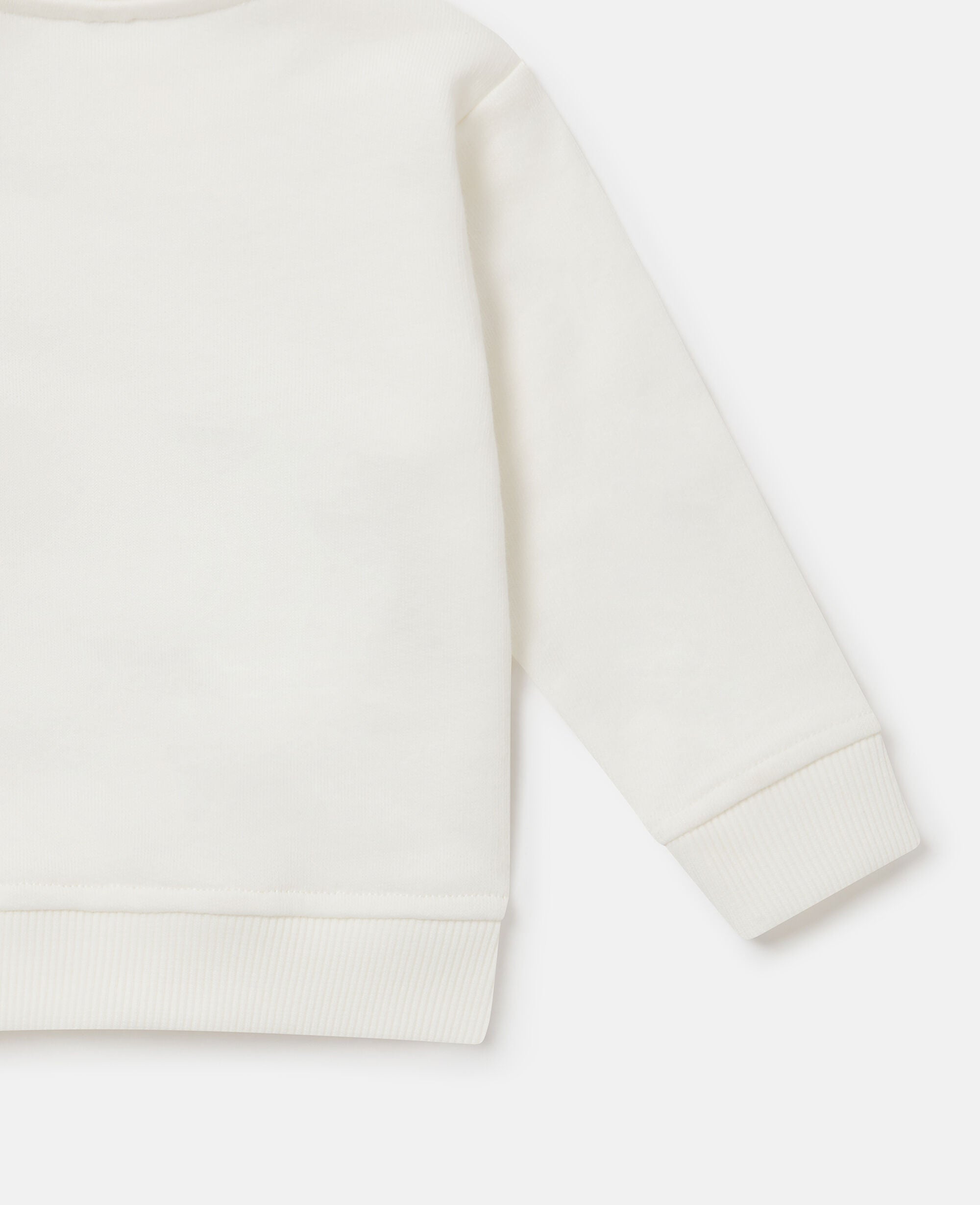 Ladybird Graphic Sweatshirt